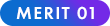 MERIT 01