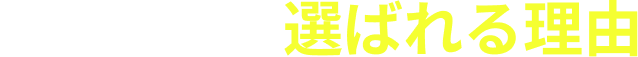 デジライズが選ばれる理由
